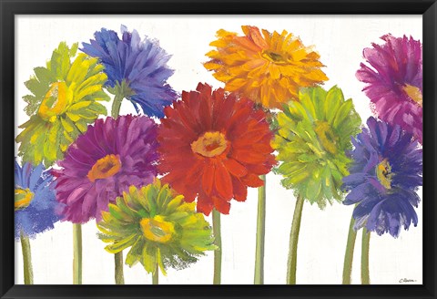 Framed Colorful Gerbera Daisies Print