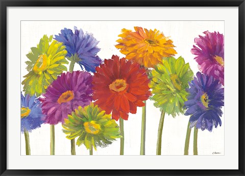 Framed Colorful Gerbera Daisies Print