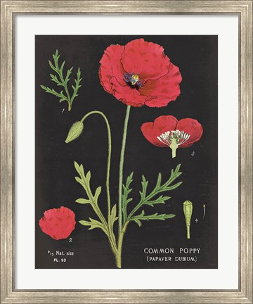 Framed Poppy Chart Print