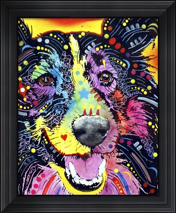 Framed Sheltie Print