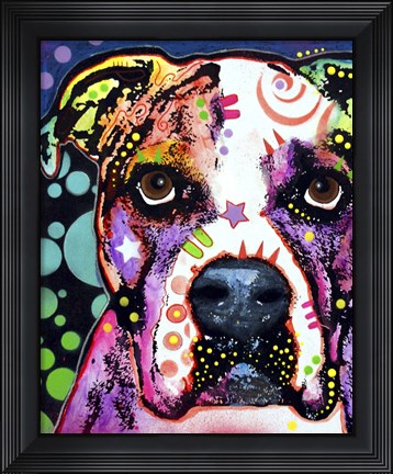 Framed American Bulldog 1 Print