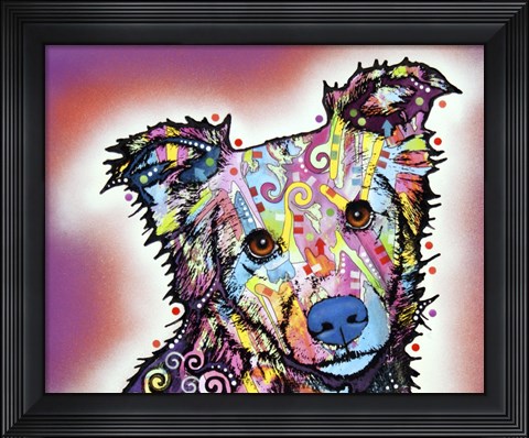 Framed Collied Print