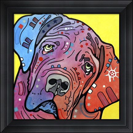 Framed Bully Print