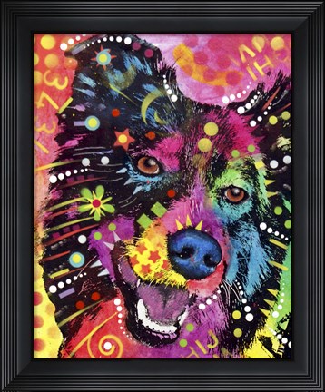 Framed Border Collie 2 Print