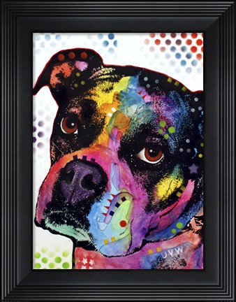 Framed Young Boxer Print