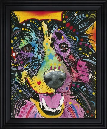 Framed Smiling Collie Print