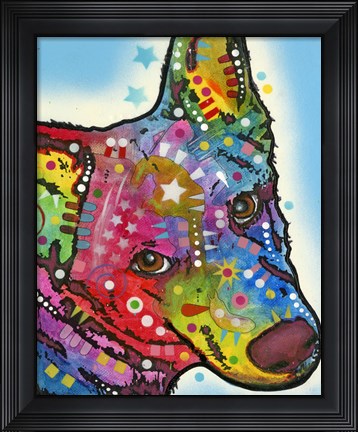 Framed Aussie Sheep Dog Print