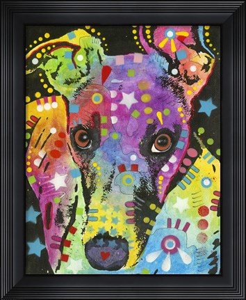 Framed Curious Greyhound Print