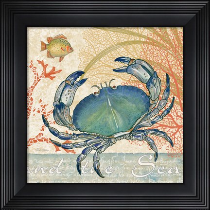 Framed Oceana II Print