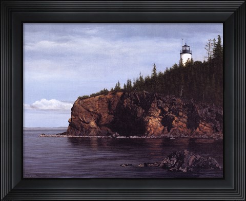 Framed Owl's Head Light Print