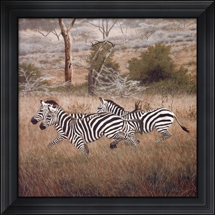 Framed Zebra Print