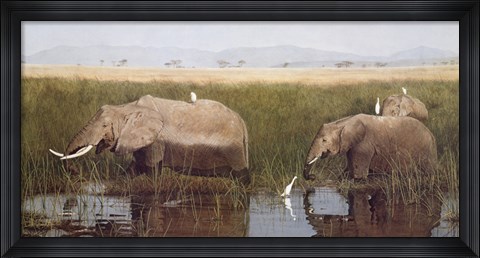 Framed Gentle Giants Print
