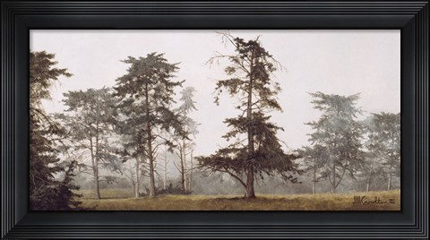 Framed Misty Grove Print