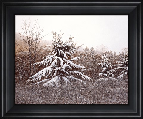 Framed First Snow Print