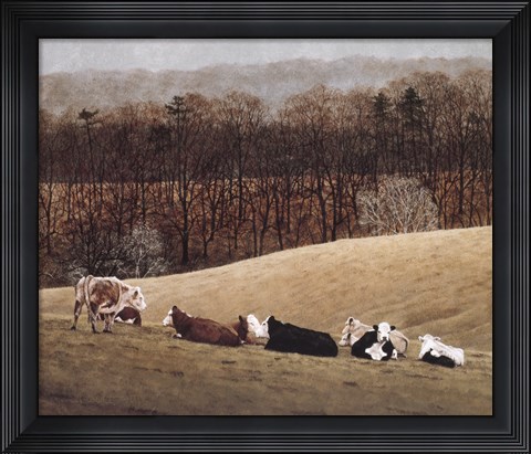 Framed Contented 3 Print