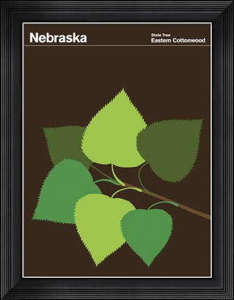 Framed Montague State Posters - Nebraska Print