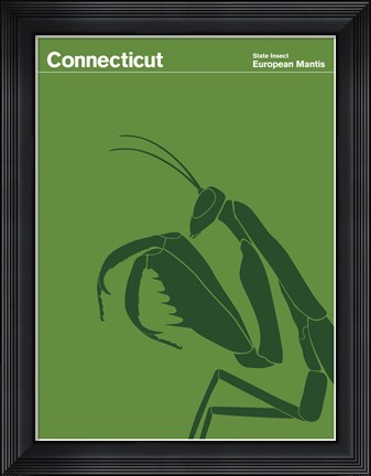 Framed Montague State Posters - Connecticut Print
