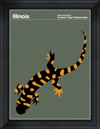 Framed Montague State Posters - Illinois Print
