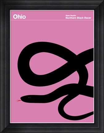 Framed Montague State Posters - Ohio Print