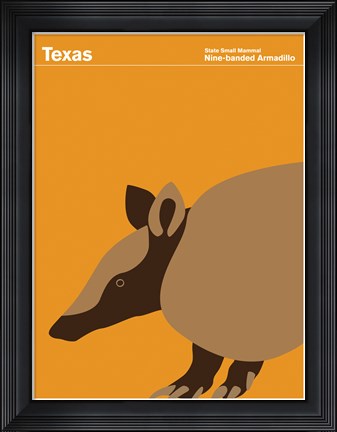 Framed Montague State Posters - Texas Print