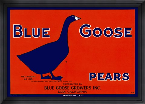 Framed Blue Goose Pears Print