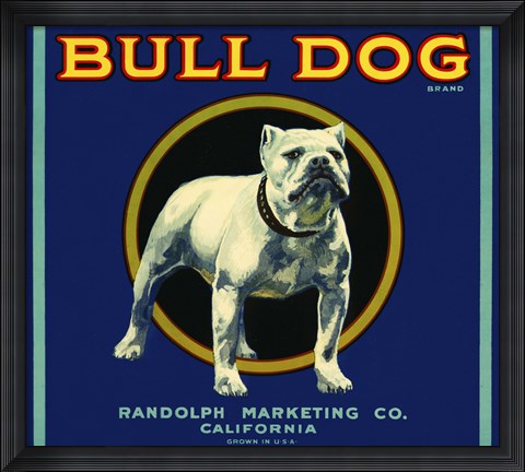Framed Bull Dog Brand Print