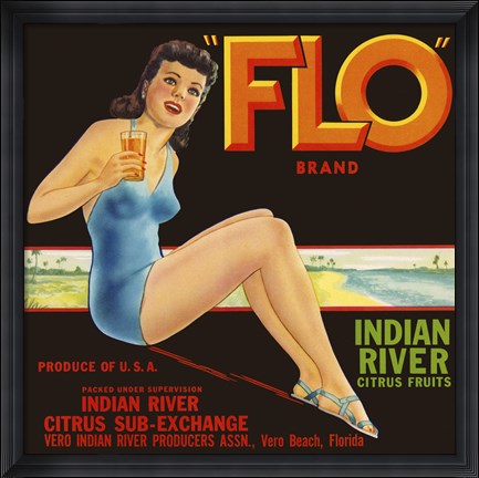 Framed &quot;&quot;FLO&quot;&quot; Brand Citrus Print