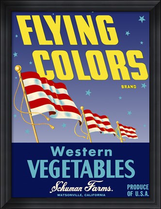 Framed Flying Colors Brand Western Vegetables Print
