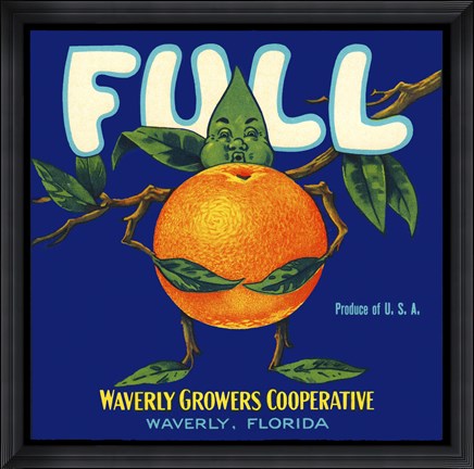 Framed Full Florida Citrus Print