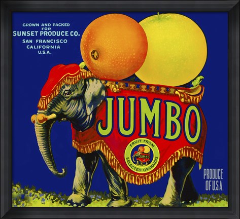 Framed Jumbo Orange and Grapefruit Print