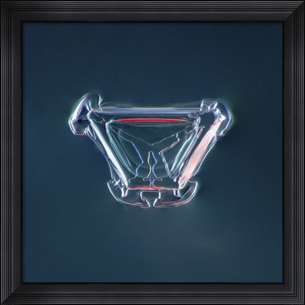 Framed Irregular Plate Snowflake 003.2.16.2014.2 Print