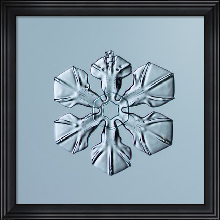 Framed Sectored Plate Snowflake 001.3.02.2014 Print