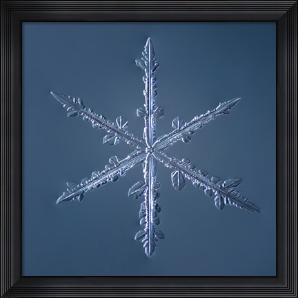 Framed Simple Star Snowflake 002.2.16 Print