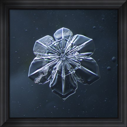 Framed Snowflake 009.2.9.2014 Print