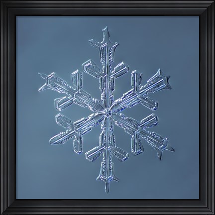 Framed Stellar Dendrite Snowflake 001.2.16.2014 Print