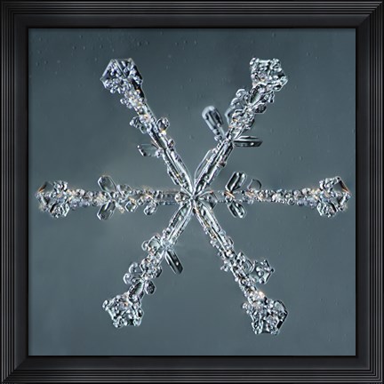 Framed Stellar Dendrite Snowflake 004.2.14.2014 Print