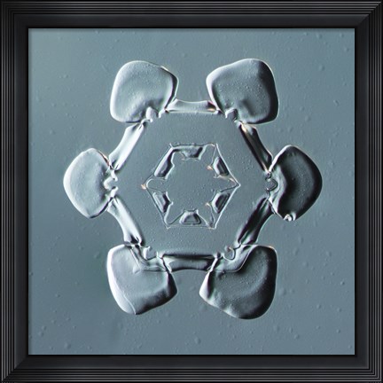 Framed Stellar Plate Snowflake 001.2.14.2014 Print
