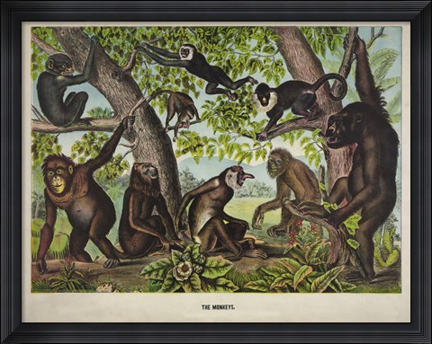 Framed Monkeys Print