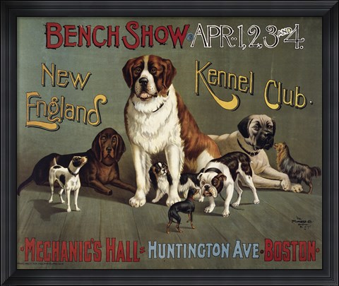 Framed Bench Show. New England Kennel Club Print