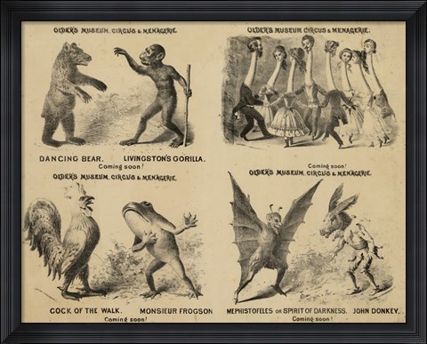 Framed Older&#39;s Museum, Circus &amp; Menagerie Print