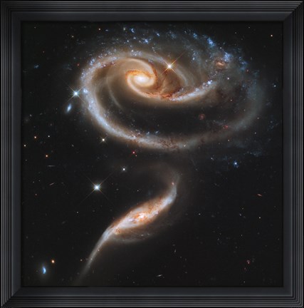 Framed &quot;&quot;Rose&quot;&quot; Made of Galaxies Highlights Hubble&#39;s 21st Anniversary Print