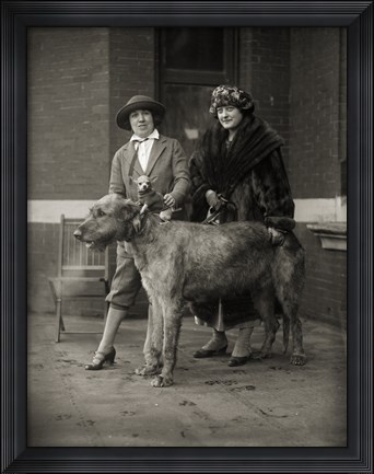 Framed All Creatures LARGE and small Print