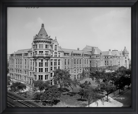Framed American Museum of Natural History, New York, N.Y. Print