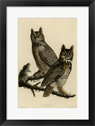 Framed Great Horned Owl Print