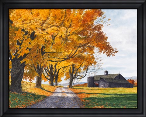 Framed Golden Maples Print