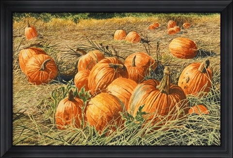 Framed Pumpkin Harvest Print