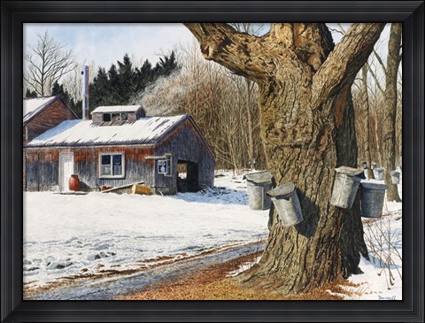 Framed Sugarhouse Near Becket Print