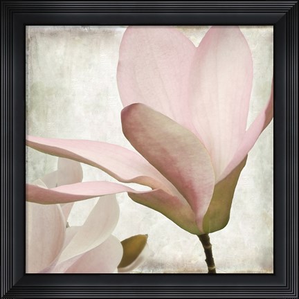 Framed Petal Purity II Print