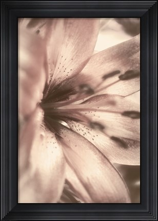 Framed Alabaster Pink Print