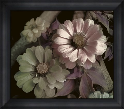 Framed Delicato Print